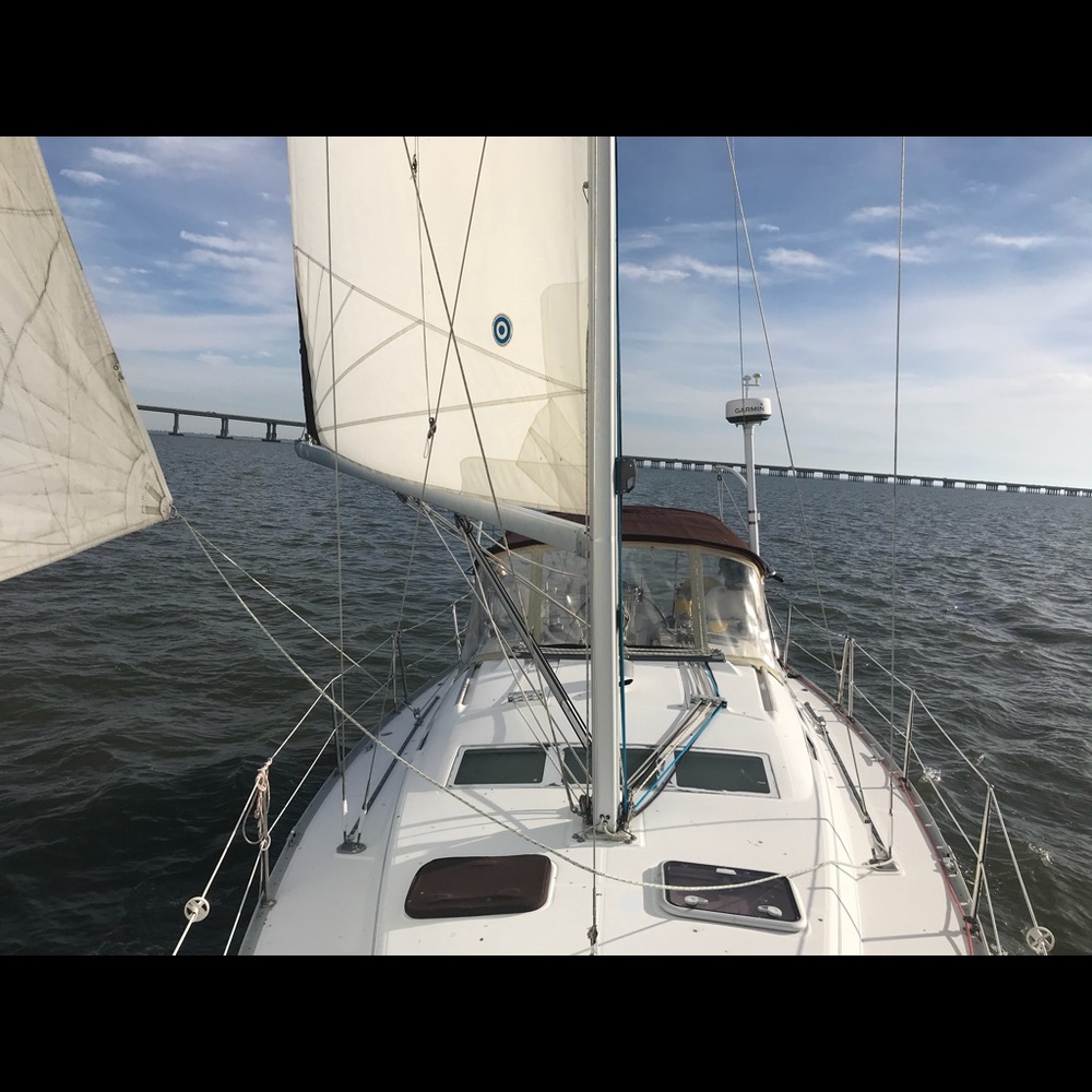 Meet your Posher, Joy